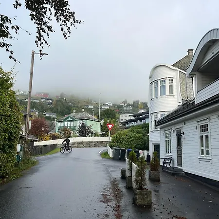 Big Central House With Balcony - Mountain Views - Free Parking * Voss